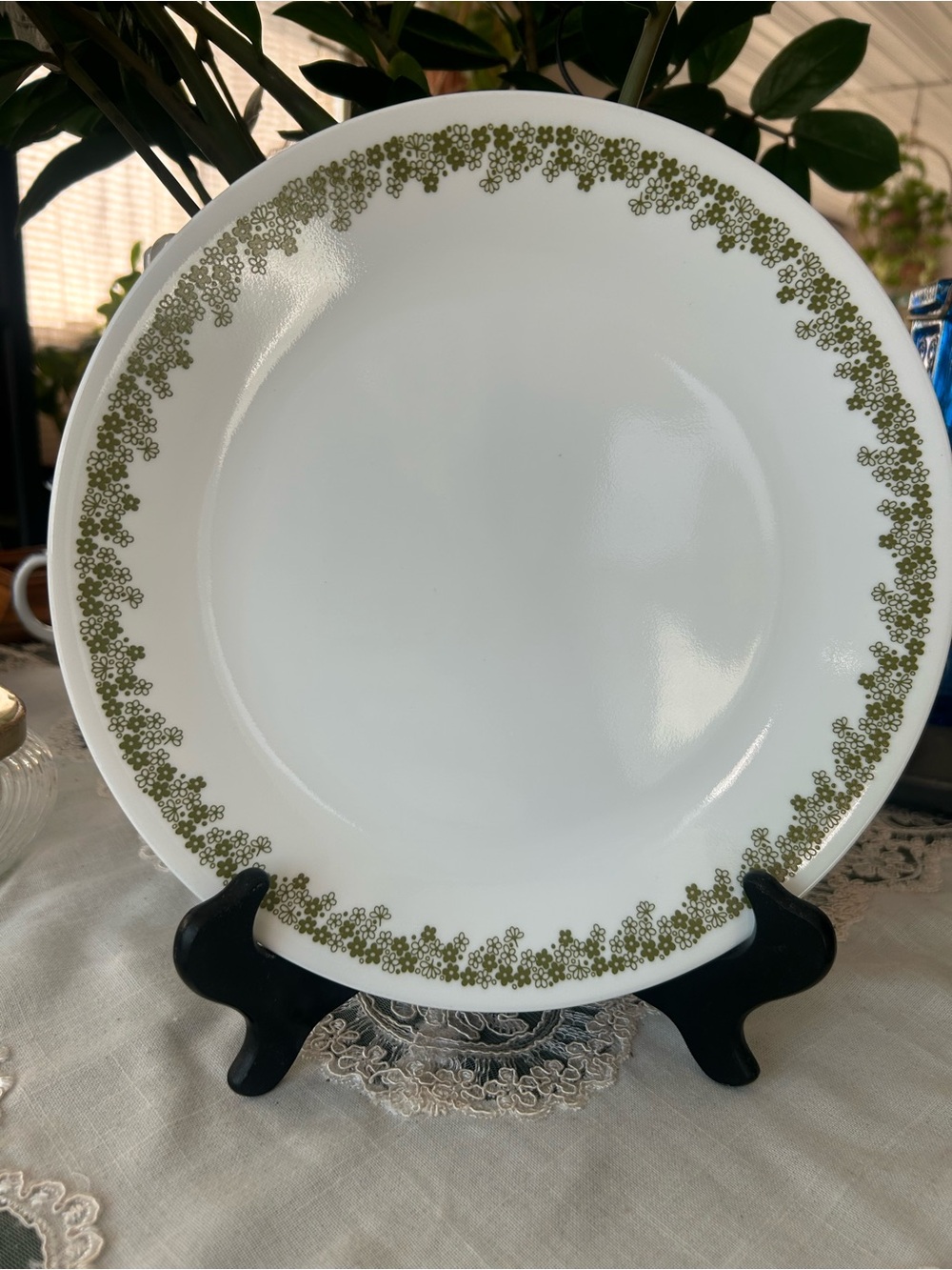 Corelle Crazy Daisy White Ceramic Dinner Plate set of 7
